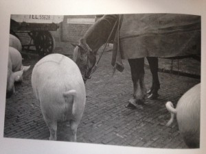 Abattoir, 1935. Foto uit 'Wiel van der Randen. Bescheiden camera, moderne blik'. Haarlem, Spaarnestad Photo, 2006.